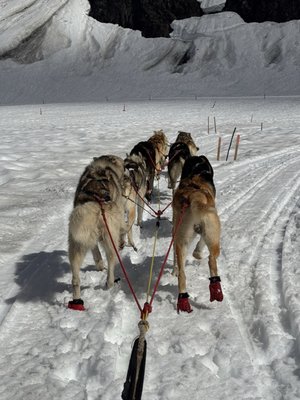 Alaska Helicopter Tours by null
