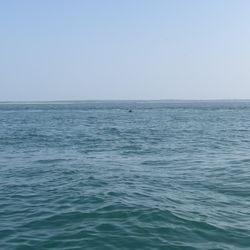 Myrtle Beach Water Sports