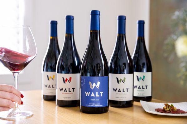 WALT Wines by null