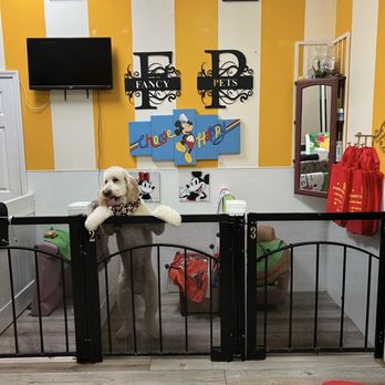 Fancy Pets - Pet Groomers Near Me - Lake Mary, Florida Fancy Pets - Pet Groomers Near Me - Lake Mary, Florida