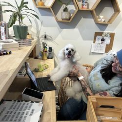 Napa Natural Dog Co. - When would you like to schedule your next appointment?
