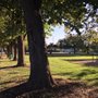 Photo of Main Street Park