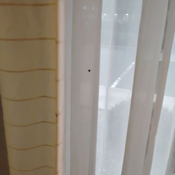 Fairfield by Marriott Inn & Suites Charlotte Arrowood - Bugs, blood, paint blotches to cover idk what - Hotels Near Me - Charlotte, North Carolina Fairfield by Marriott Inn & Suites Charlotte Arrowood - Bugs, blood, paint blotches to cover idk what - Hotels Near Me - Charlotte, North Carolina