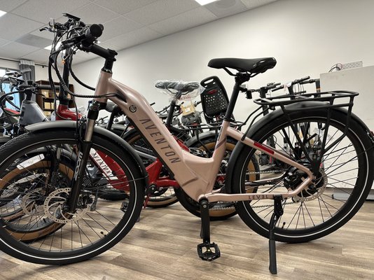 electric bike center