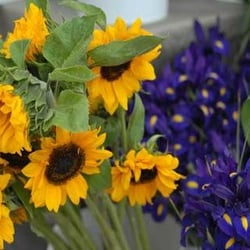 Blue Heron Farms - SC market flowers