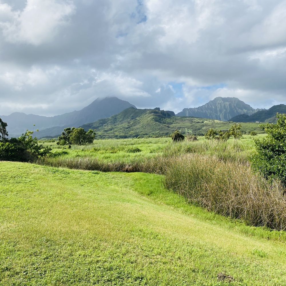 Kawainui Marsh Trail - Hiking Near Me - Kailua, Hawaii