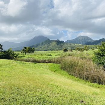 Kawainui Marsh Trail - Hiking Near Me - Kailua, Hawaii