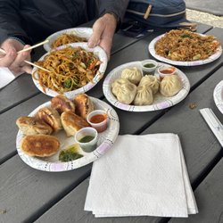 Pan Fried Momo, Hand Made Momo, Chow Mein, Fried Rice