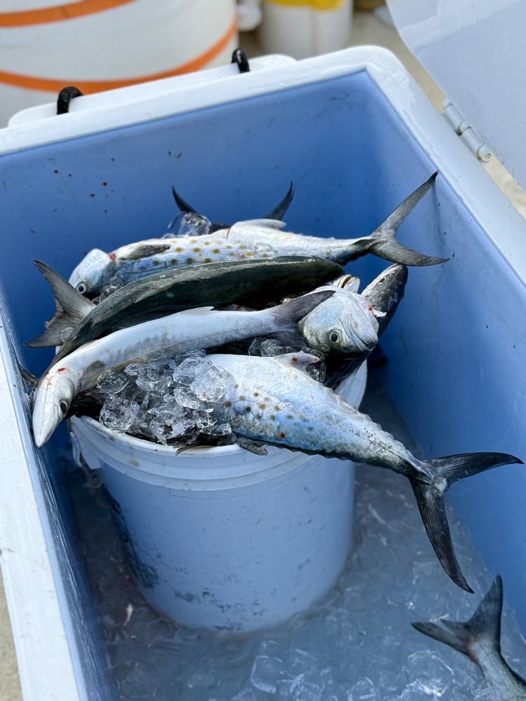 Captain Smokey's Charter Fleet Logo