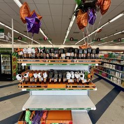 Dollar Tree - Halloween Outdoor Decor