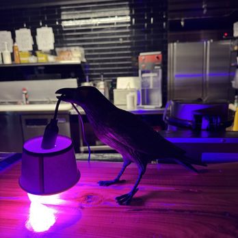 BLACK CAT FROZEN CUSTARD - Updated November 2025 - 143 Photos & 49