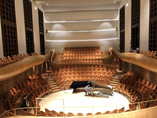 Museo del Violino by null
