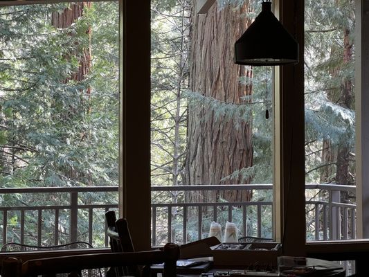 Yosemite Valley Lodge by null