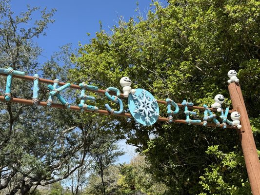 Disney's Blizzard Beach Water Park by null
