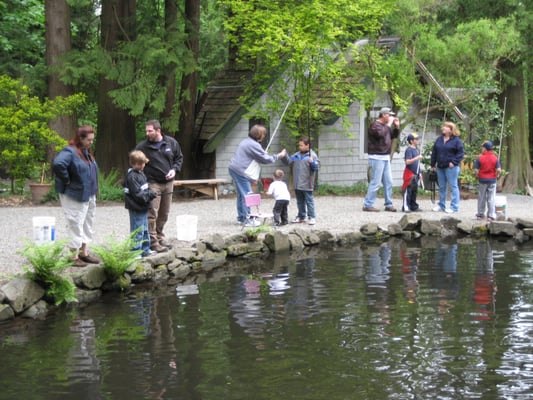Photo of Springbrook Trout Farm - Renton, WA, US. Busy fishing day at the Springbrook Trout Farm
