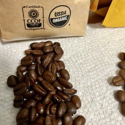 Wipeout Coffee - Wipeout beans "light roast"