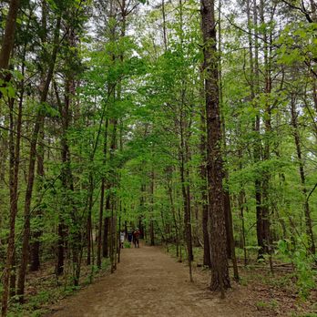 Crowders Mountain State Park - Parks Near Me - Kings Mountain, North Carolina Crowders Mountain State Park - Parks Near Me - Kings Mountain, North Carolina