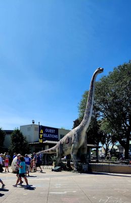 Ny State fair by null