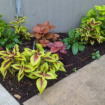 Zazu Landscaping - Landscaping Near Me - Austin, Texas Zazu Landscaping - Landscaping Near Me - Austin, Texas
