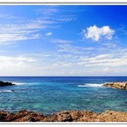 Sharks Cove Rentals - Sharks cove across the street