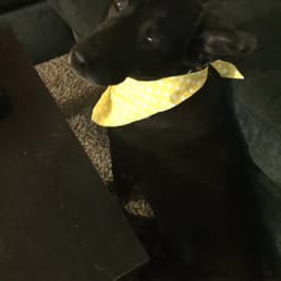Apollo giving that chic over the shoulder realness now that he's looking fresh Apollo giving that chic over the shoulder realness now that he's looking fresh