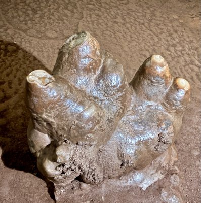 The Lost Sea Adventure by null