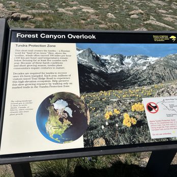 Forest Canyon Overlook - Hiking Near Me - Estes Park, Colorado