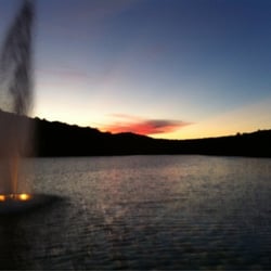 Sayersbrook Bison Ranch - Sunset @ Sayersbrook