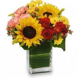 Vice's Marion Floral