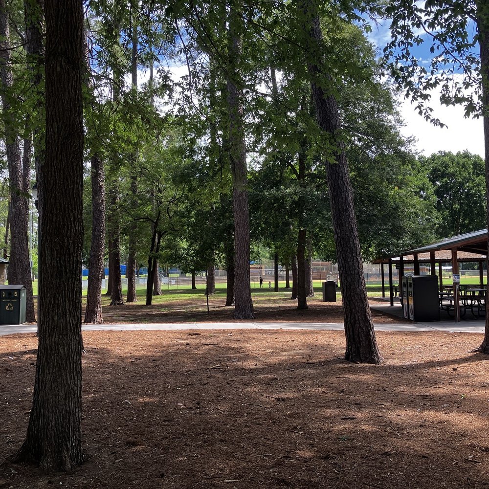 Albert “Ray” Massey Park - Parks Near Me - Gainesville, Florida Albert “Ray” Massey Park - Parks Near Me - Gainesville, Florida
