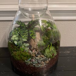 Silver Falls Terrariums
