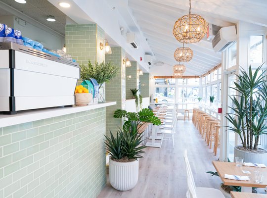 Bluestone Lane Tribeca Café by null
