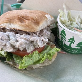 Surfside Sandwich Shoppe - Chicken Salad Sandwich with side of Coleslaw - Sandwiches Near Me - Corpus Christi, Texas