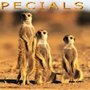 Photo of AfricanWorld Touristic