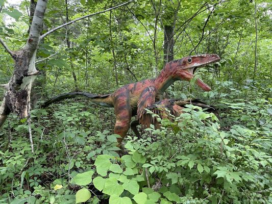 Backyard Terrors and Dinosaur Park by null