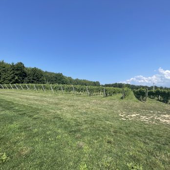Laurentia Vineyard and Winery - Vineyards - Wineries Near Me - Madison, Ohio Laurentia Vineyard and Winery - Vineyards - Wineries Near Me - Madison, Ohio