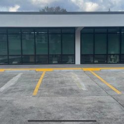 TNT Tint & Trim