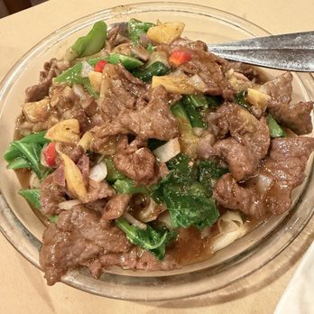 Lei Garden - Satay broccoli beef chow fun - Dim Sum Near Me - Cupertino, California Lei Garden - Satay broccoli beef chow fun - Dim Sum Near Me - Cupertino, California