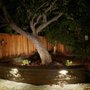 Photo of Living Landscape Design