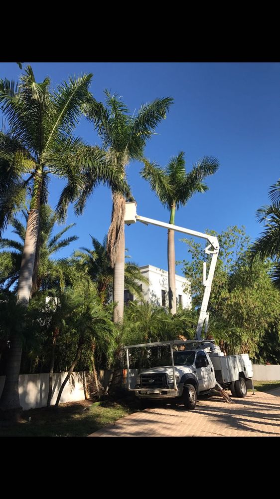 Melkris Landscaping Services - tree service in Virginia Gardens, FL