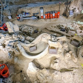 Waco Mammoth National Monument - Overall indoor dig site. - Museums Near Me - Waco, Texas Waco Mammoth National Monument - Overall indoor dig site. - Museums Near Me - Waco, Texas