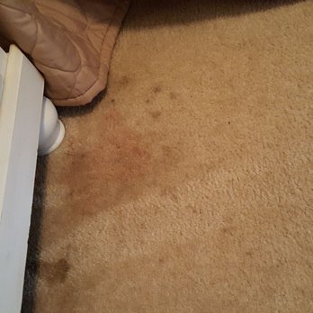 Myrtlewood Villas - Another picture of the dirt and blood left on the carpet - Resorts Near Me - Myrtle Beach, South Carolina Myrtlewood Villas - Another picture of the dirt and blood left on the carpet - Resorts Near Me - Myrtle Beach, South Carolina