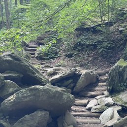 Trail