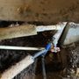 Photo of Michael Shaver Plumbing, Septic, & Dirt Works