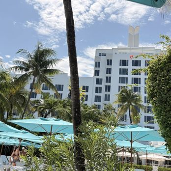 The Palms Hotel & Spa - Hotels Near Me - Miami Beach, Florida The Palms Hotel & Spa - Hotels Near Me - Miami Beach, Florida