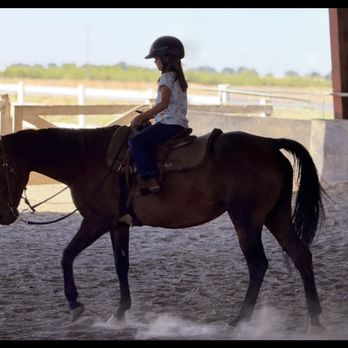 A Horse Experience  - H on Sadie - Horseback Riding Near Me - Tracy, California