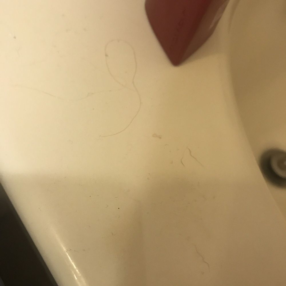 Doxie Clean - My "clean" shower - Home Cleaning Near Me Doxie Clean - My "clean" shower - Home Cleaning Near Me