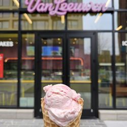 Van Leeuwen - Candy cane was delicious