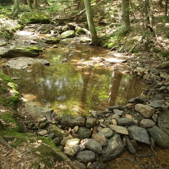 Locust Lake State Park - Hiking trail - Parks Near Me - Barnesville, Pennsylvania