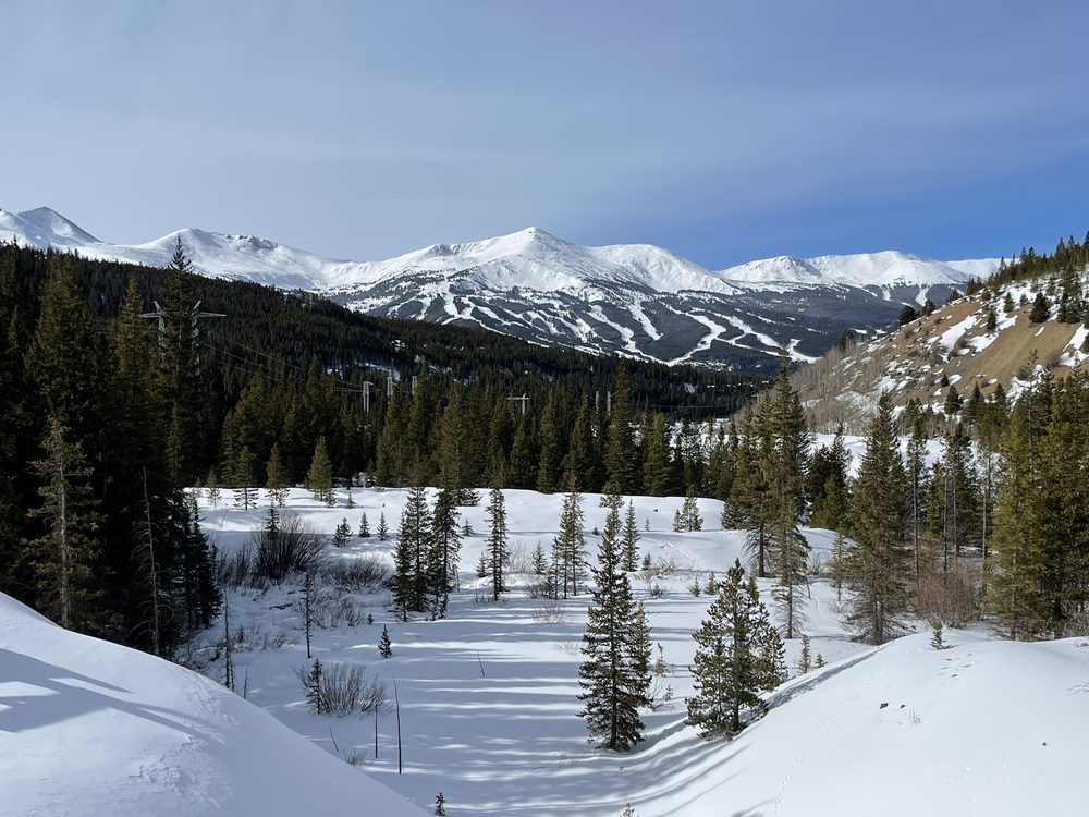 COUNTRY BOY MINE 118 Photos & 76 Reviews 0542 French Gulch Rd